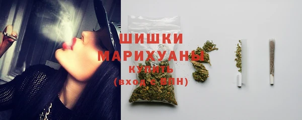 бошки Анива