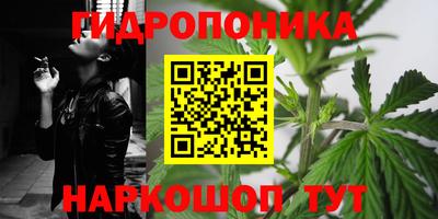 спиды Заводоуковск