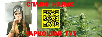 спиды Заводоуковск
