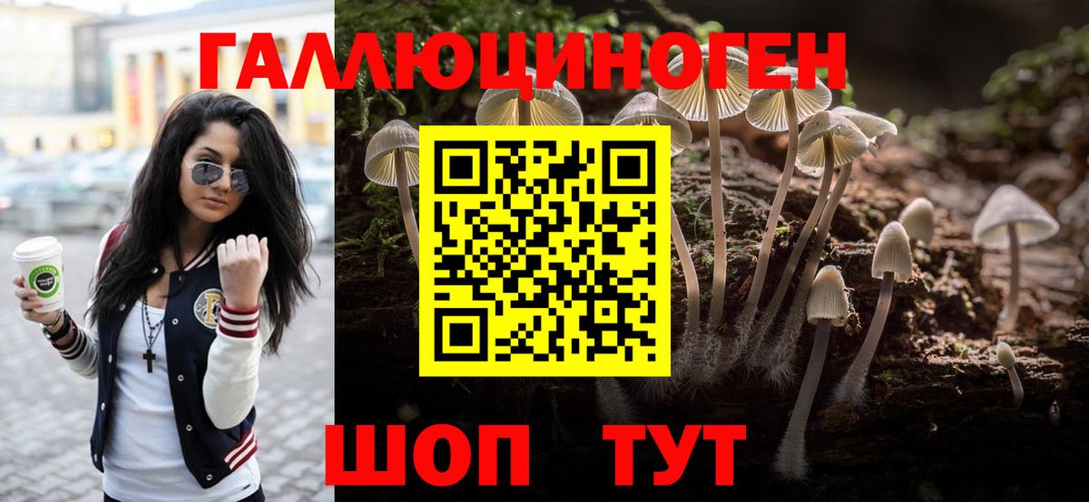  COCAIN Пятигорск